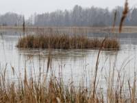 В водоемах Латгале найдены двое утонувших